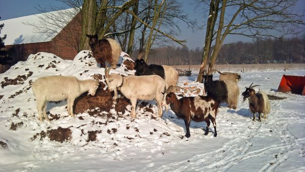 DSC00184 bearbeitet 1